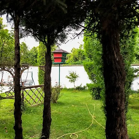 Homestay Exotic